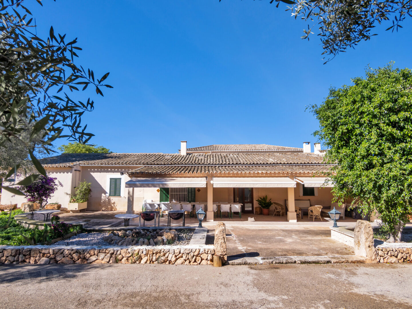 Ljucmajor - Amelia (22)