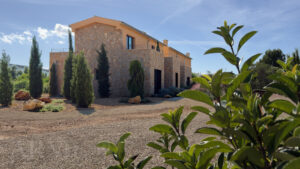 Santa Maria - Amelia 39