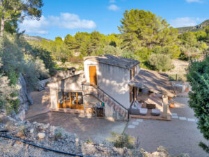 Calvia  Amelia (25)