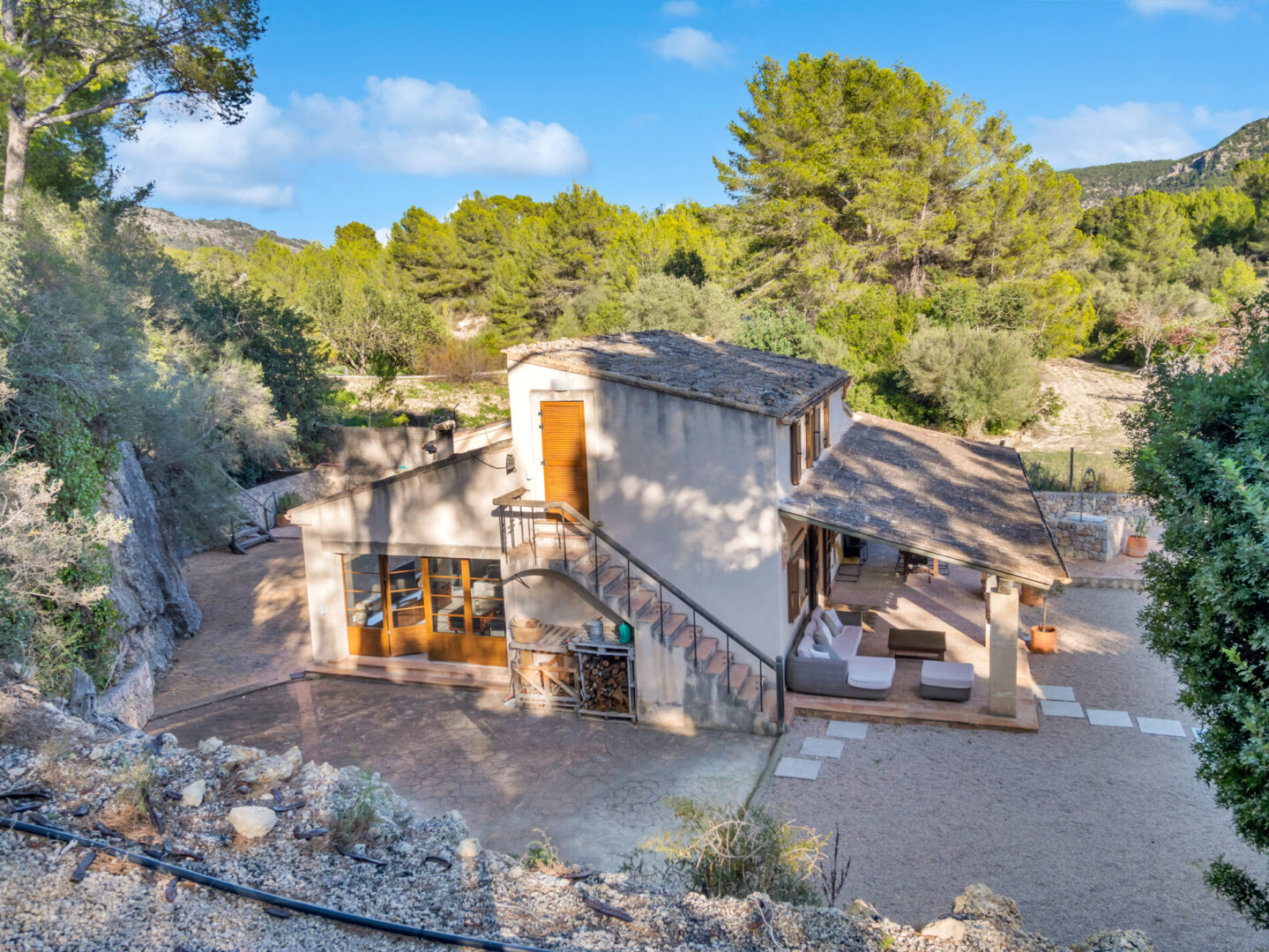 Calvia  Amelia (25)