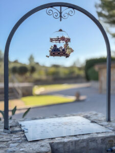 Calvia  Amelia (5)
